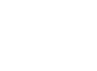 brussels-metropolitan-logo