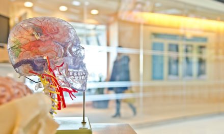 Looking Ahead to New Healthcare Work Opportunities