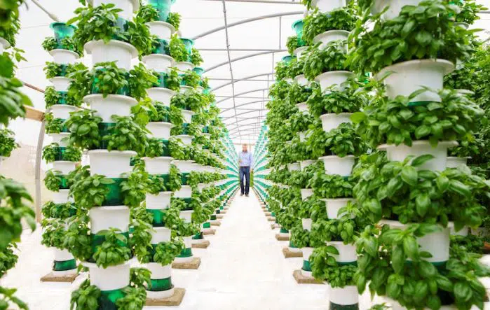 Crowdsourcing to Improve Food Production and Recycle Surplus