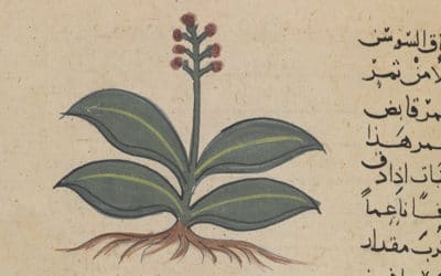 The Decade in Crowdsourcing Transcription