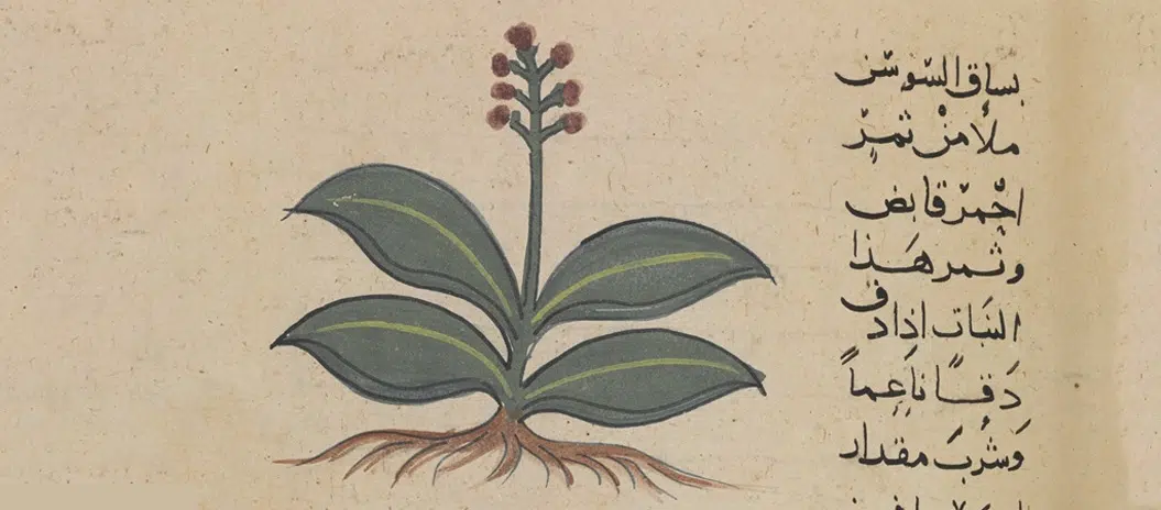 The Decade in Crowdsourcing Transcription