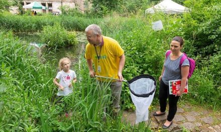 Crowdsourcing Citizen Scientists to Feed Scientific Developments