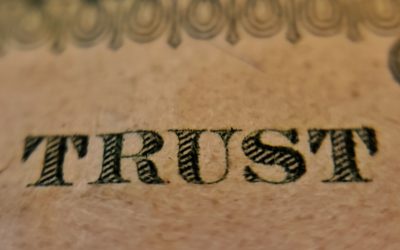 In Transparency We Trust: Why Transparency and Trust Are Crucial for Crowdsourcing