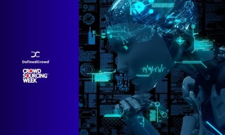 How to Take Advantage of Crowdsourced AI Datasets from DefinedCrowd