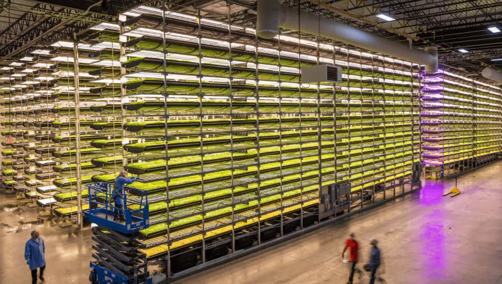 Hudroponic farming provides several examples of crowdfunding for agriculture