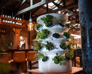 crowdfunding for agriculture