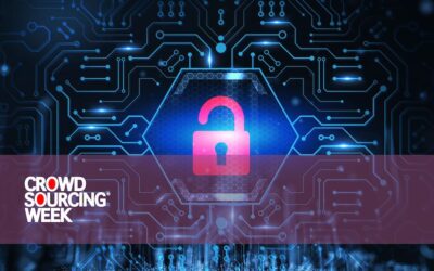 Privacy Protection in Crowdsourced Data Annotation: A Corporate Implementation Guide